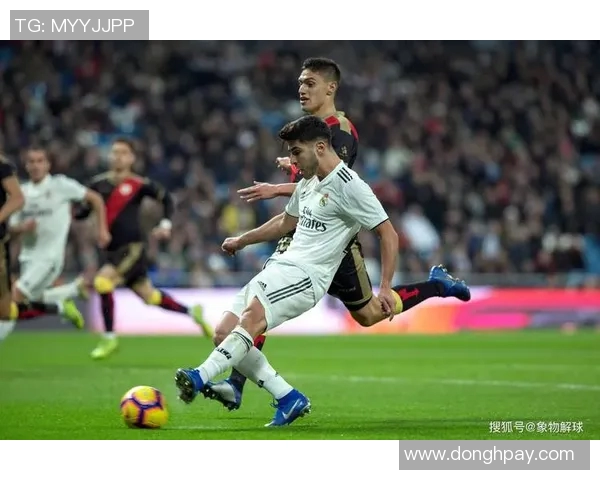 欧冠激战回顾皇马与多特的巅峰对决与精彩瞬间分析